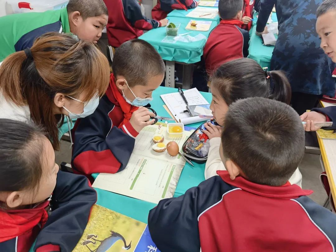 骨干教师示范引领个人工作总结,省市区优秀教师示范引领