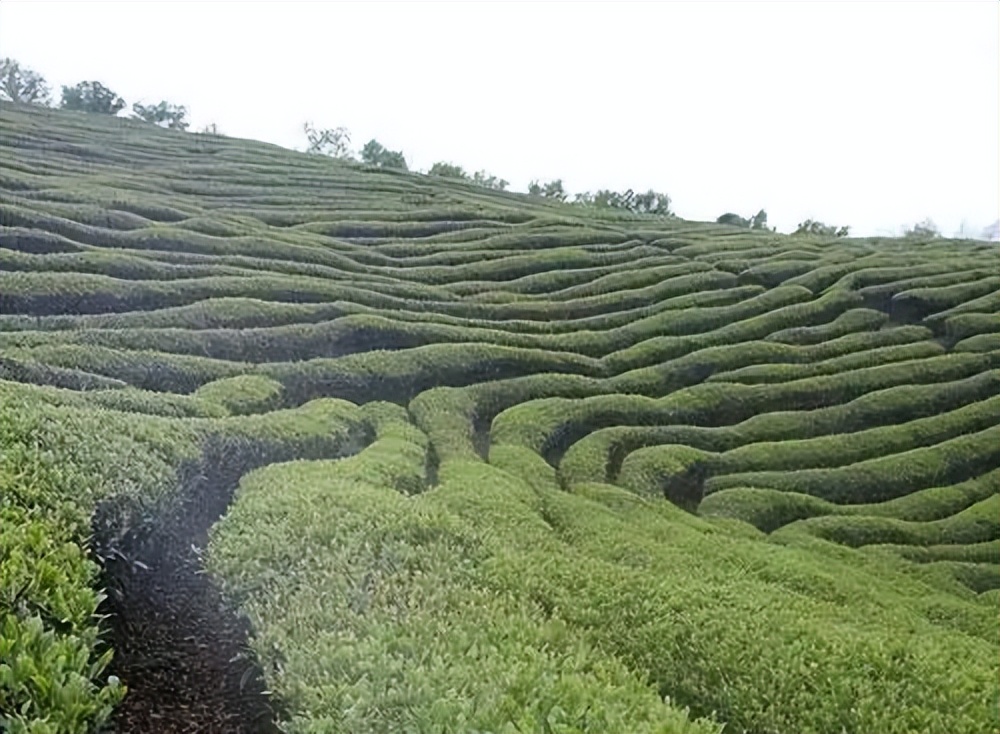 堪称神来之笔的十首诗词,100首绝妙的古诗词