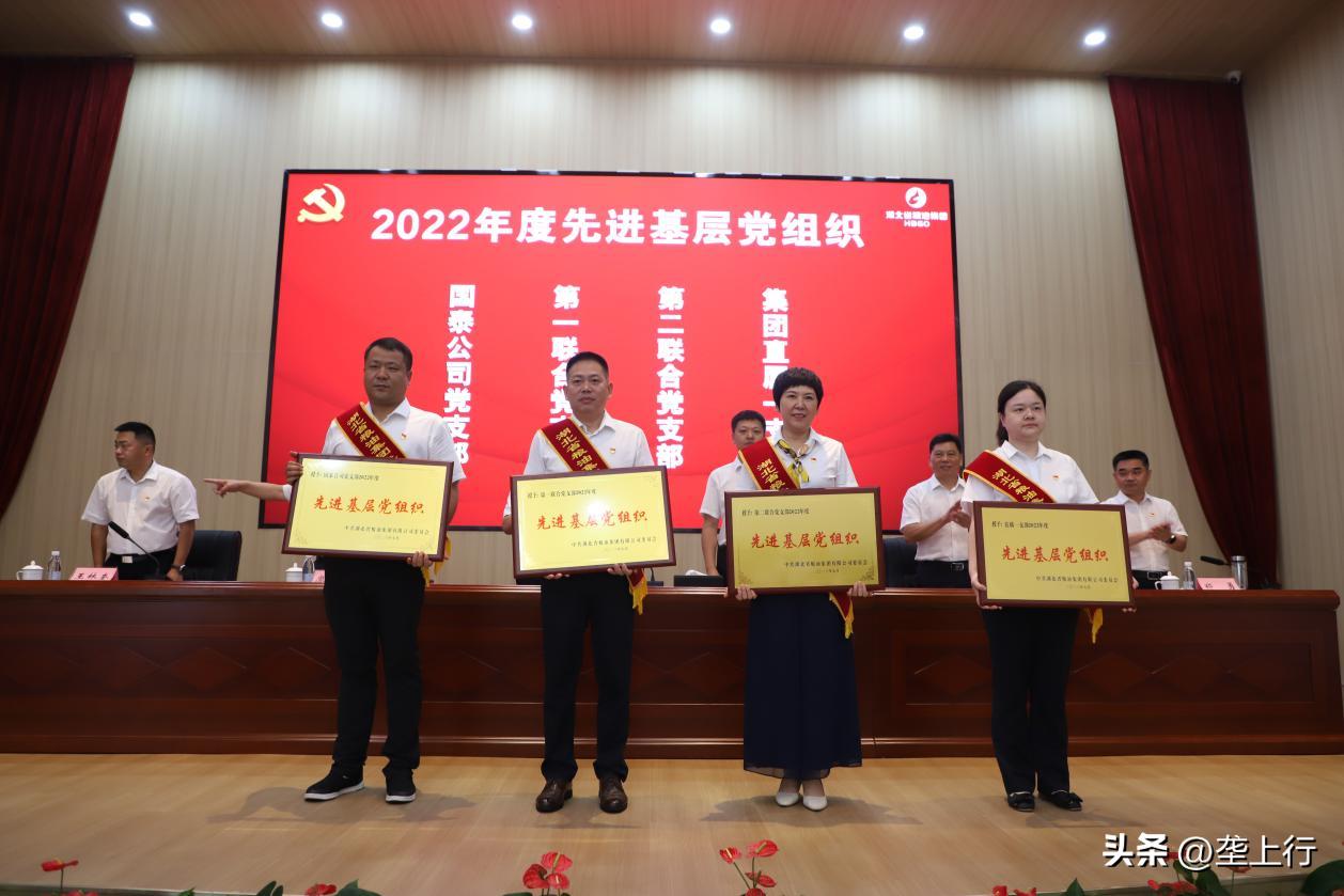 湖北省粮油集团名单,2019粮油销售额