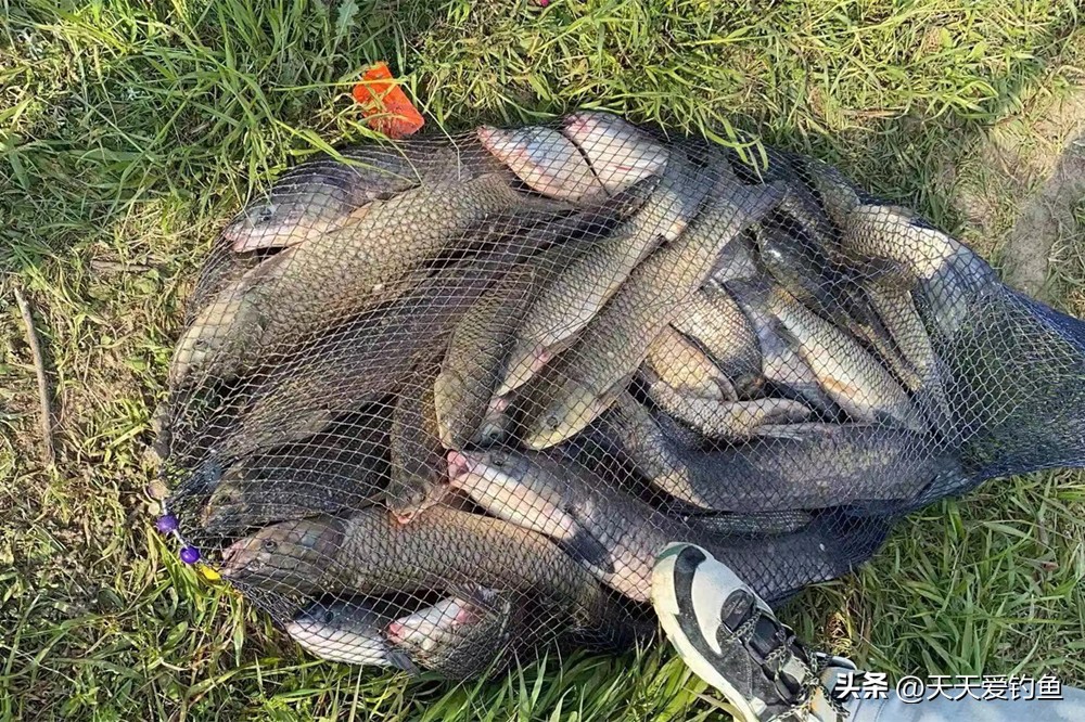 同一个钓位换浮漂要重新调目吗,更换钓点怎么二次调漂