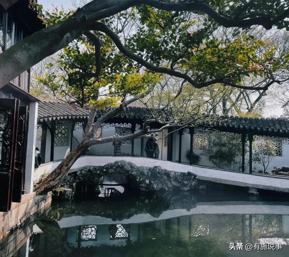 享乐游苏州之【拙政园】