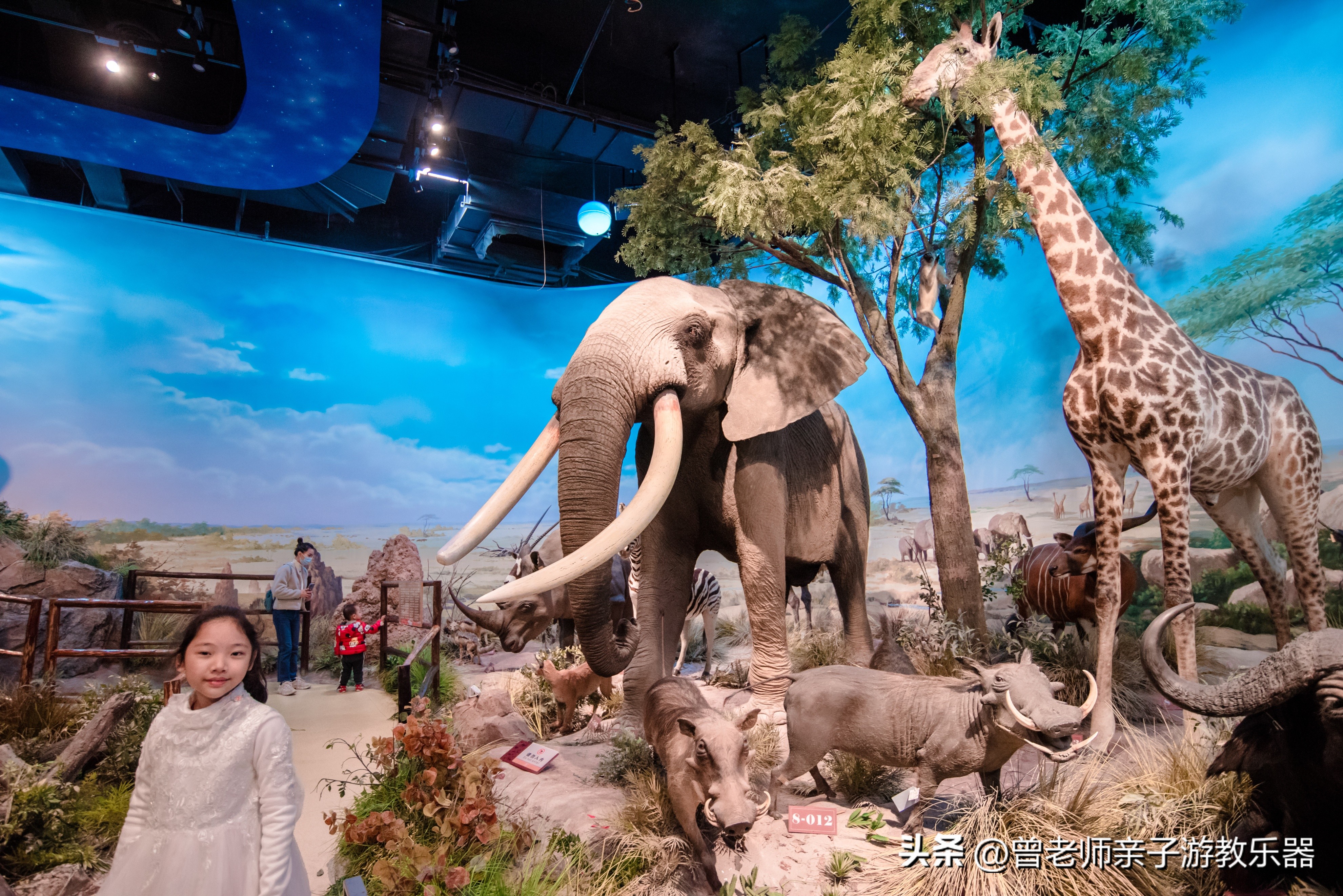 2023西安亲子游景区大全，30多个遛娃宝地，很多都免费