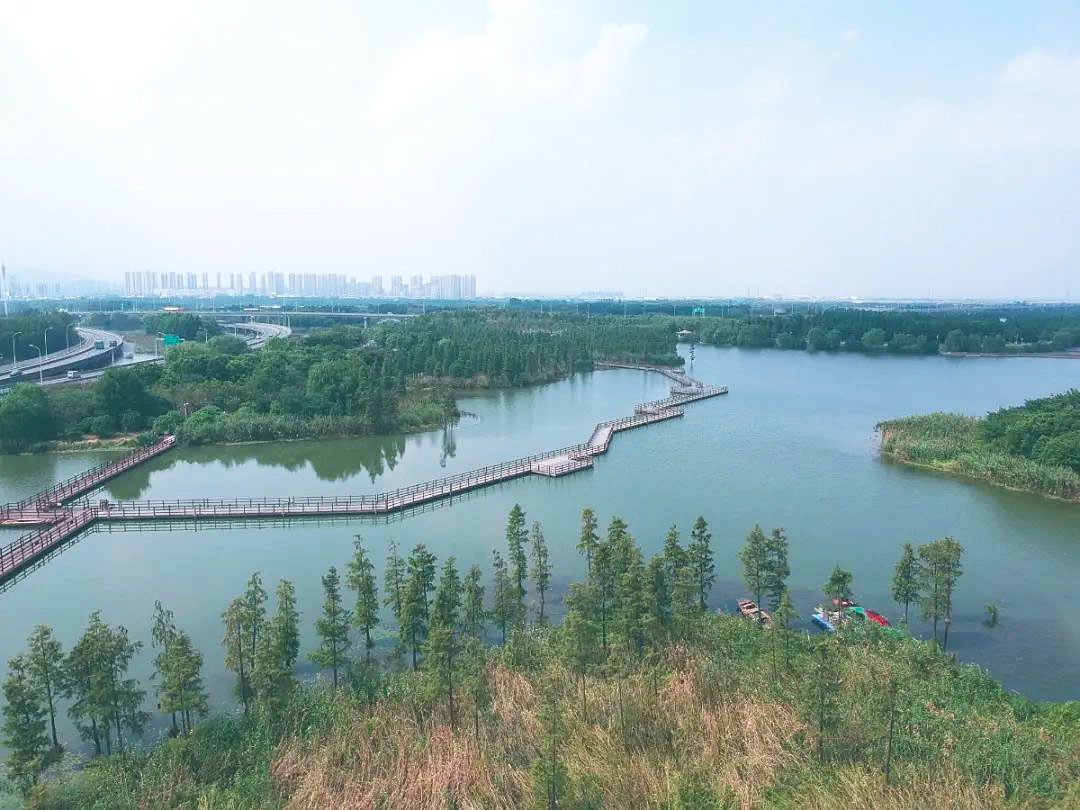 苏州活力岛的房价能涨到4万吗,苏州活力岛二手房200万以内