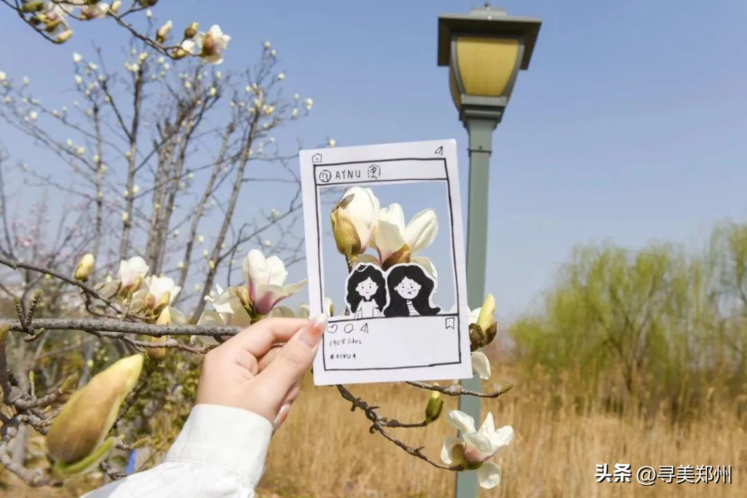 河南科技大学春景,河南科技职业大学校园春景