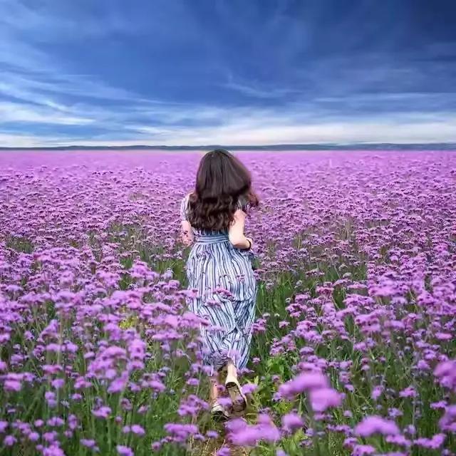 云南旅游避暑景点有哪些地方好耍,云南避暑美食胜地