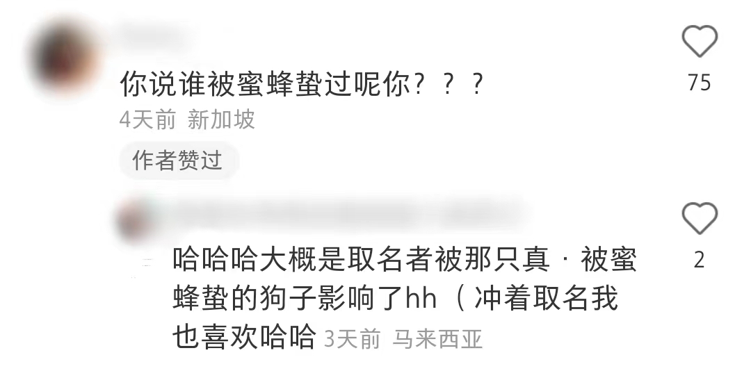 给jellycat海盗狗起名,jellycat全部款式