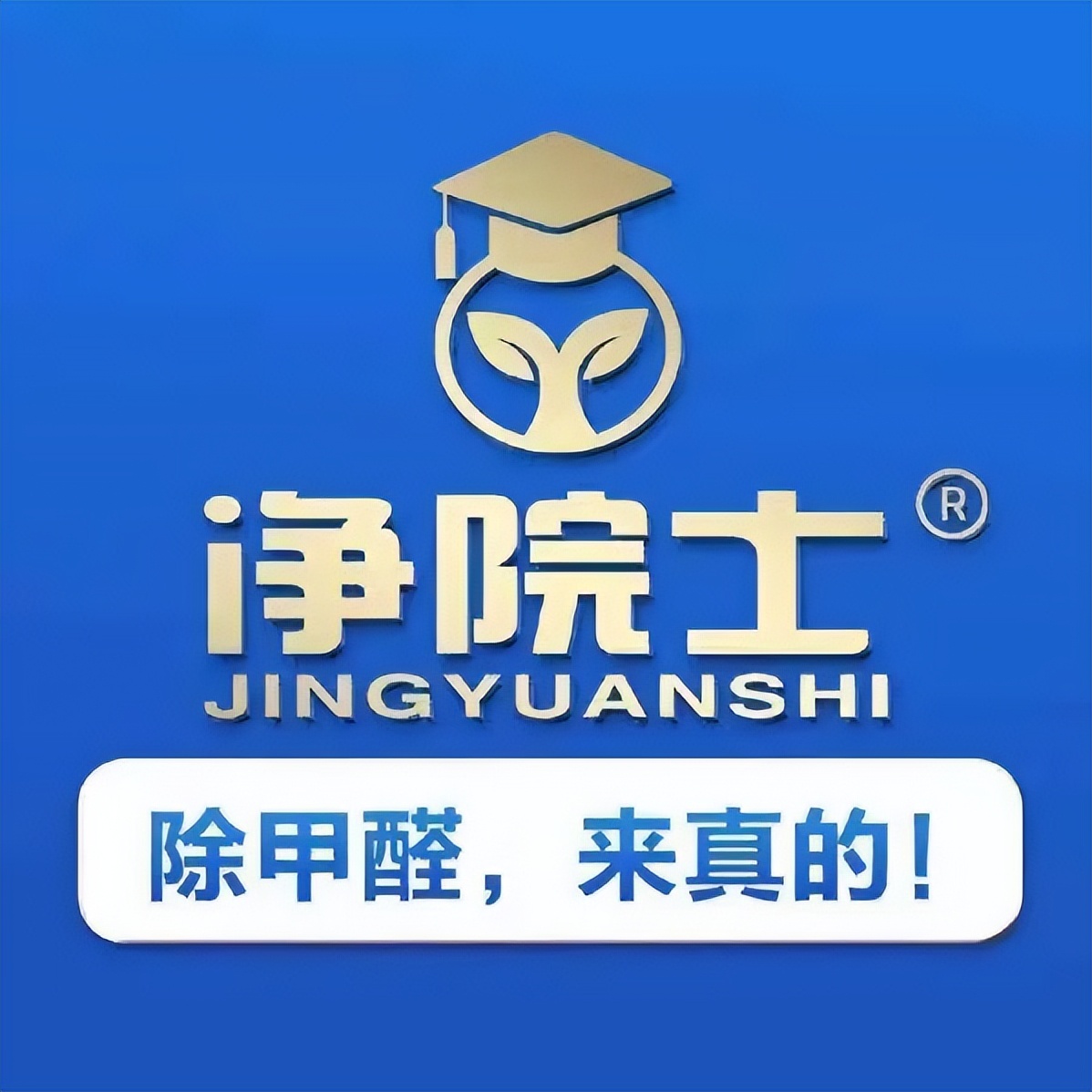 上海除甲醛公司十大排名,上海市除甲醛公司排名前十