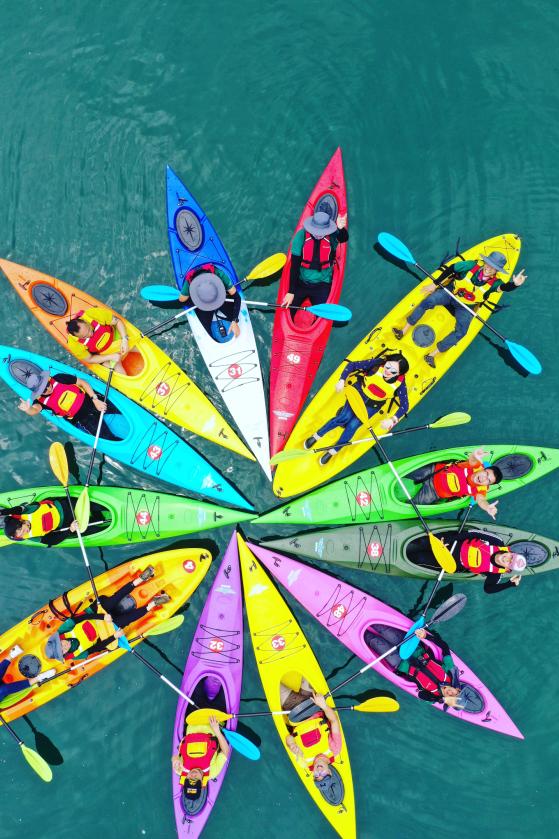 猫咪走太空步原视频最火,猫咪壁虎漫步视频