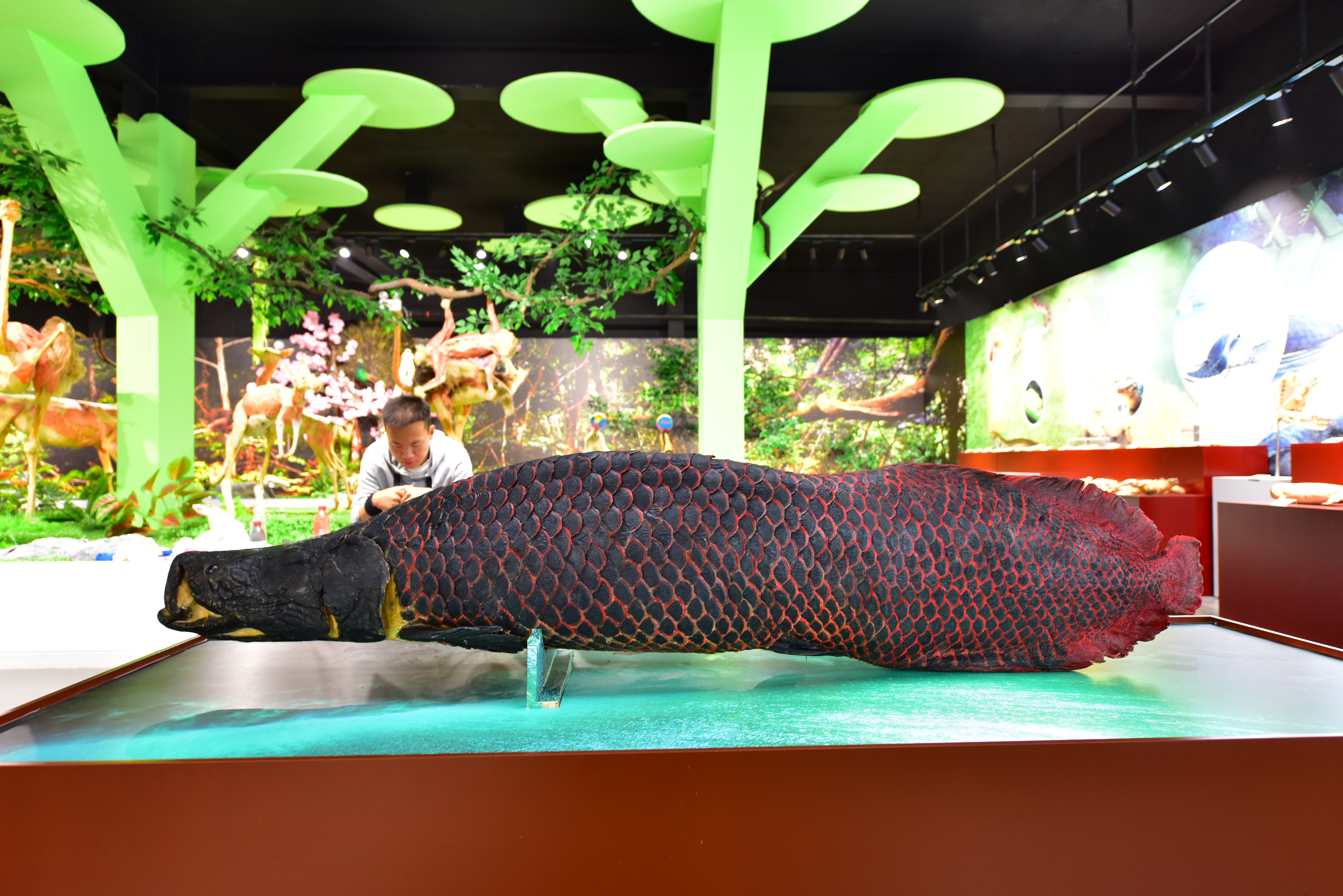 郑州研学景点简介,郑州研学旅行基地有哪些