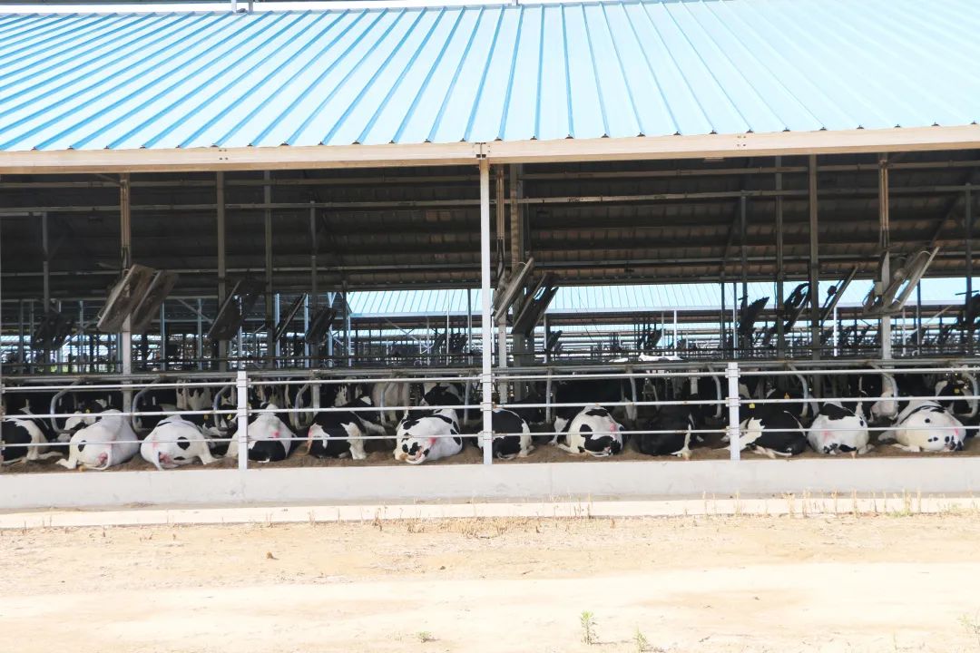 君乐宝威县乐源君享,君乐宝农场纪录片