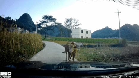 现在生意都难做的高情商回复,最近生意太好了高情商回复