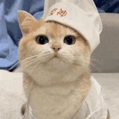 私自加工肉制品违法怎么处罚,政府查扣的肉制品如何处置