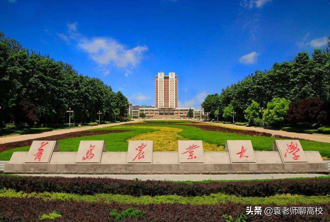 山东农业大学与青岛农业大学,同省的两所农业大学,你会怎么选?