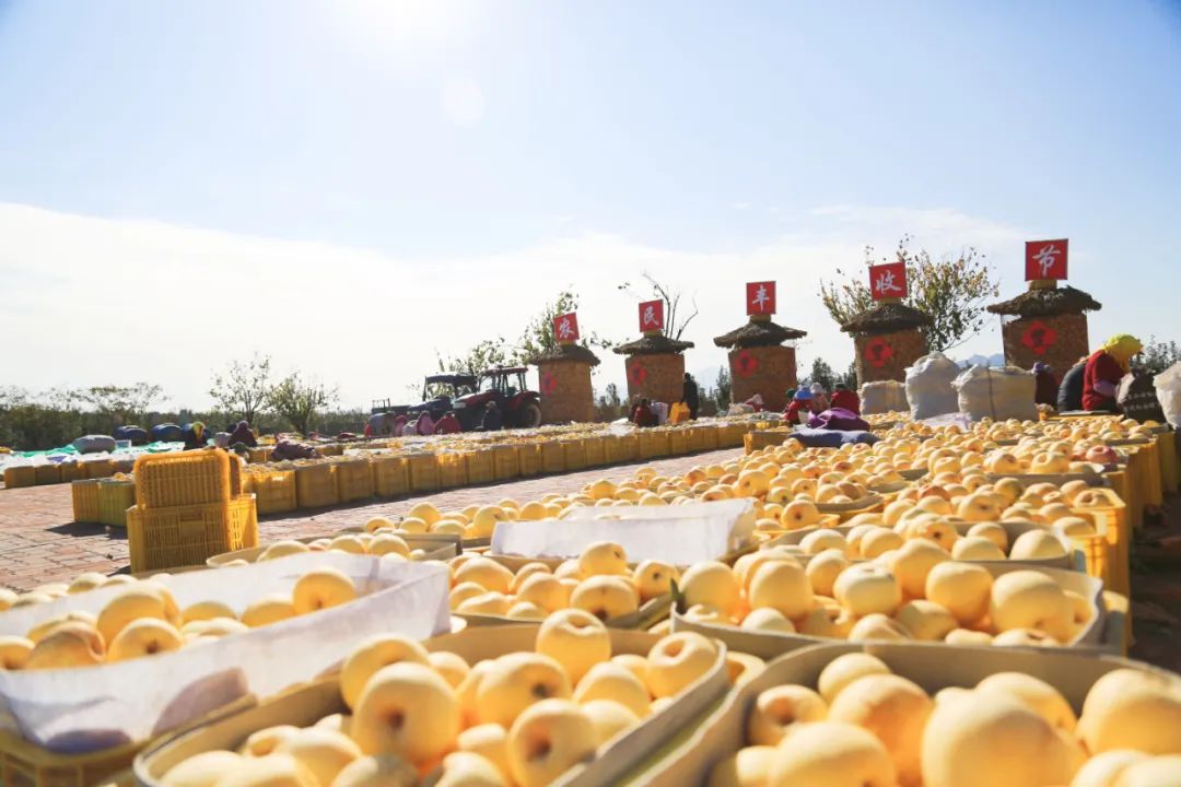 非凡十年看海淀,非凡十年看鹤城