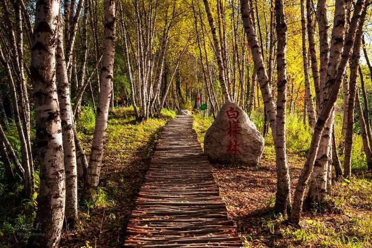 速收！兰州出发，临夏太子山旅游大通道及3-5日大环线自驾游攻略！