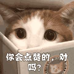 笑的时候喝水呛到了怎么办,喝水笑到呛到了怎么办