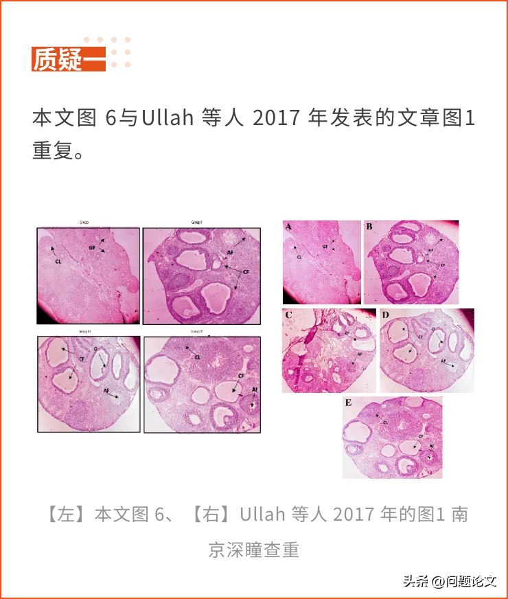 来自山东、湖北、江苏及辽宁等地医院的5篇论文竟都存在图片重复