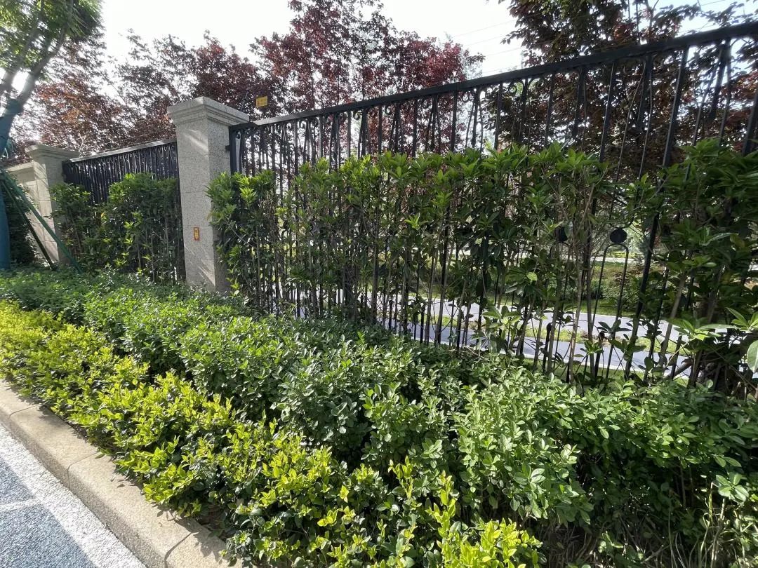 真香的全运村，算不算西安交房天花板|房哥验房报告41期