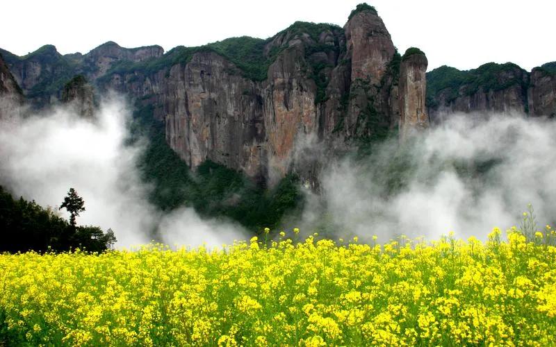 仙居旅游景点,仙居县
