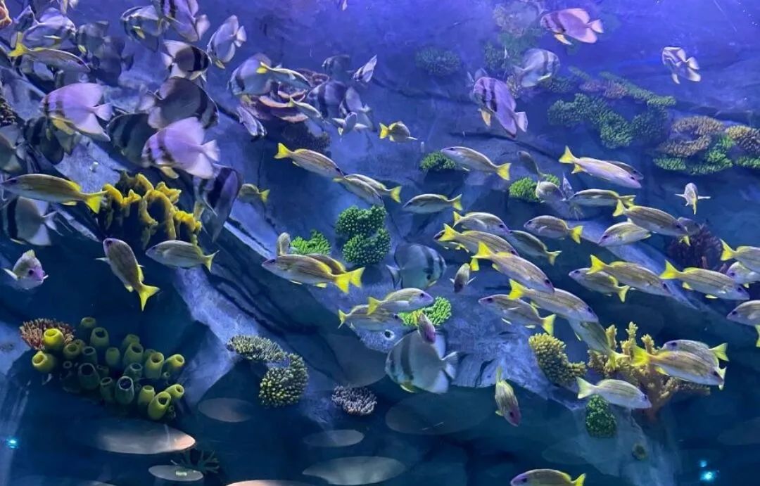 昆明旅行最值得打卡的十大景点,昆明周边湿地公园网红打卡地