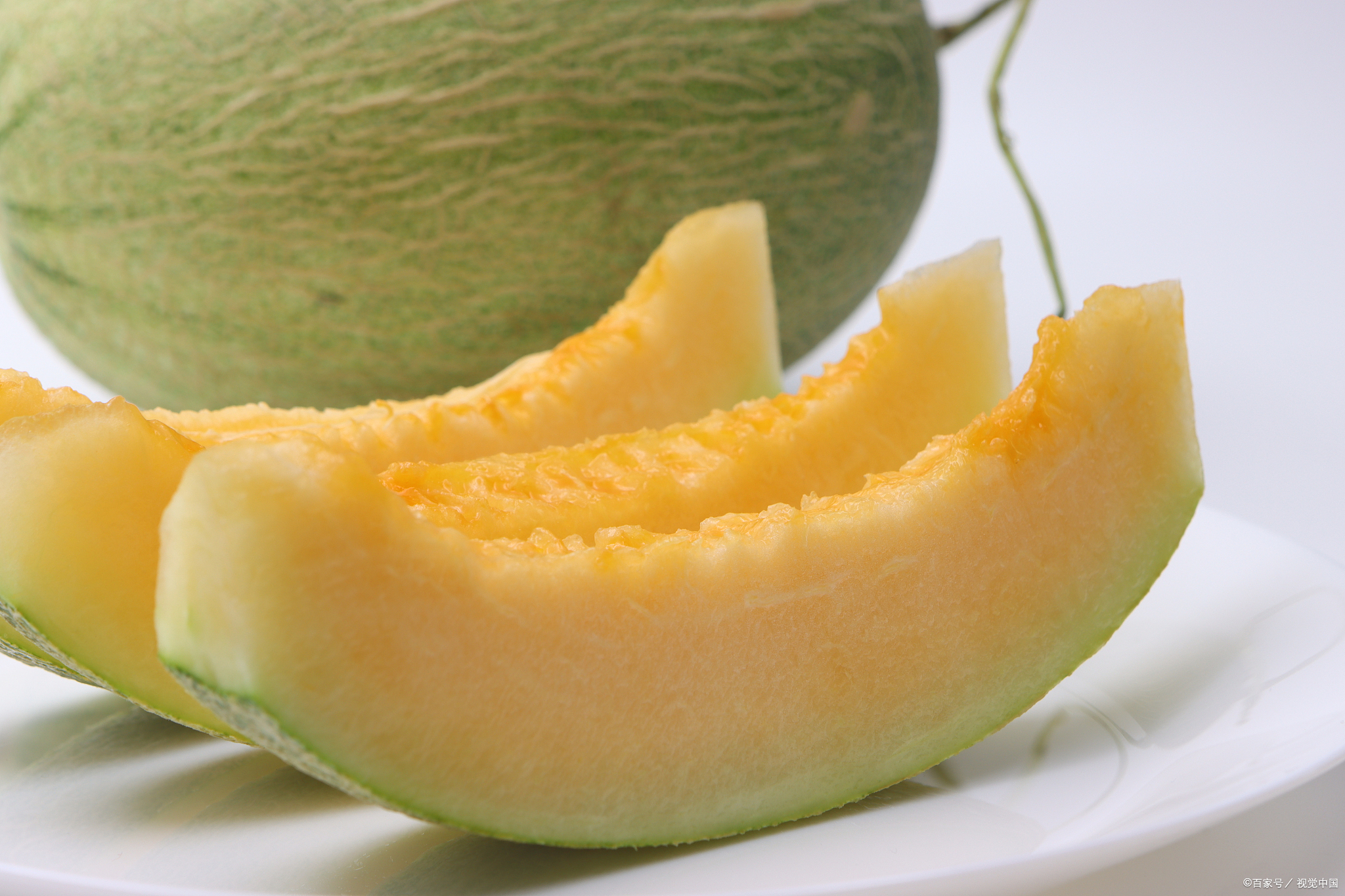 狗狗防癌的最佳方法,想要狗狗健康长寿这些食物少不了