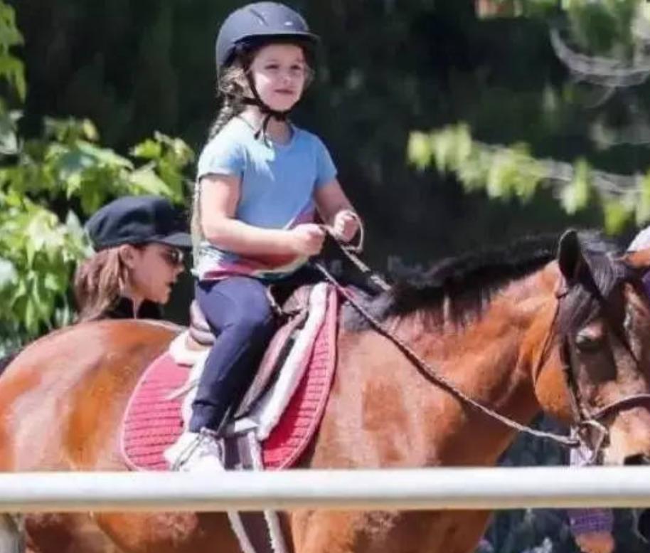 贝小七年轻时的照片,贝小七年轻时照片