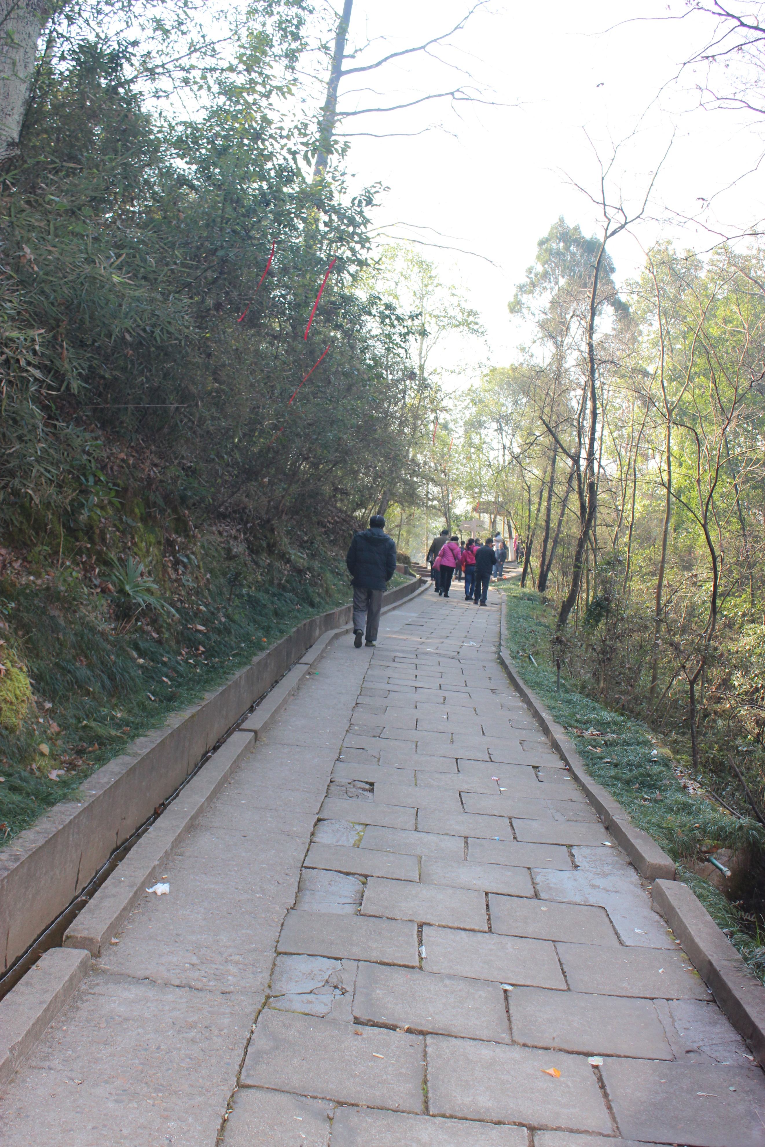 赣州周末出游攻略,春节赣州出发2-3天短途旅游