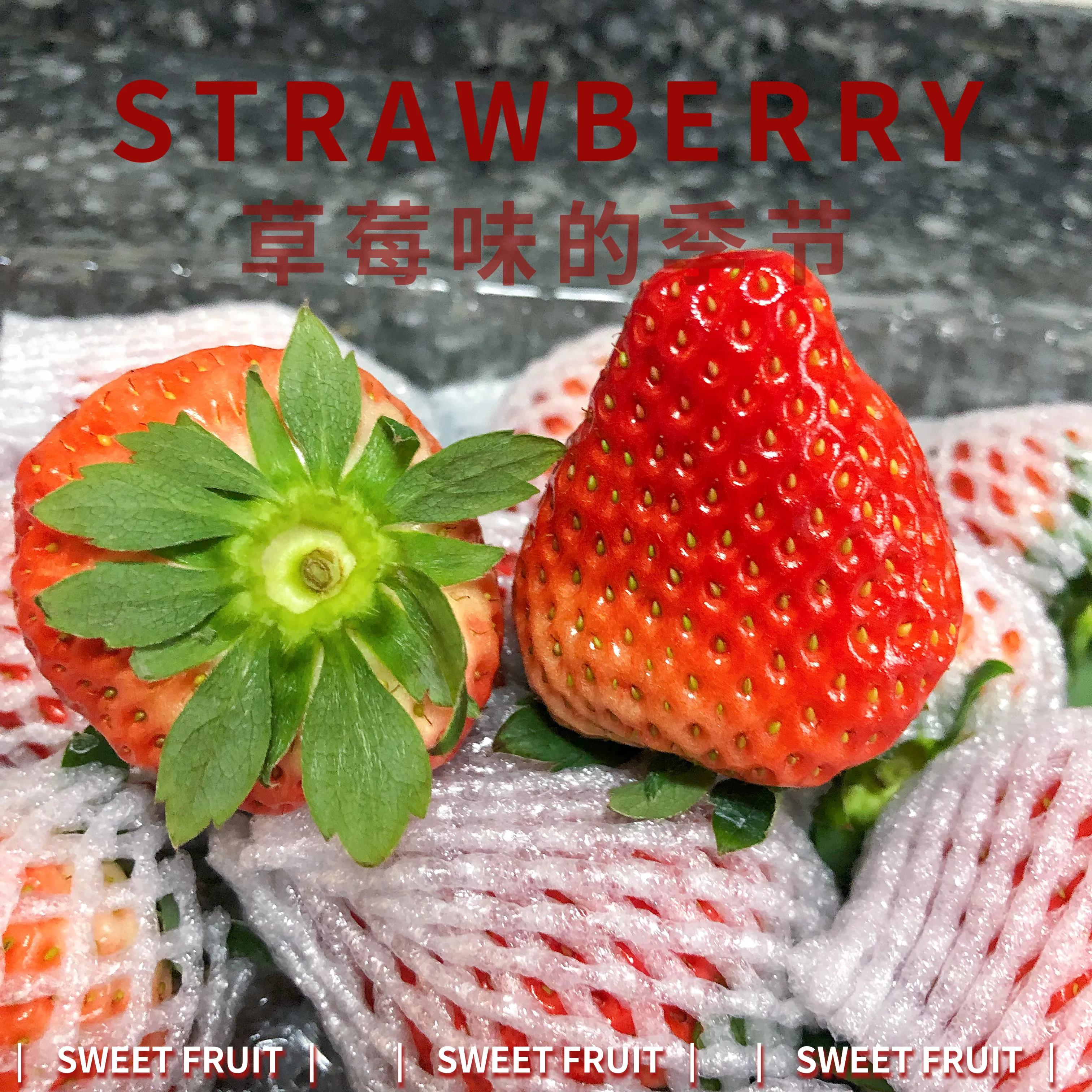 一斤丹东99草莓有多少个,丹东99草莓适合哪里种