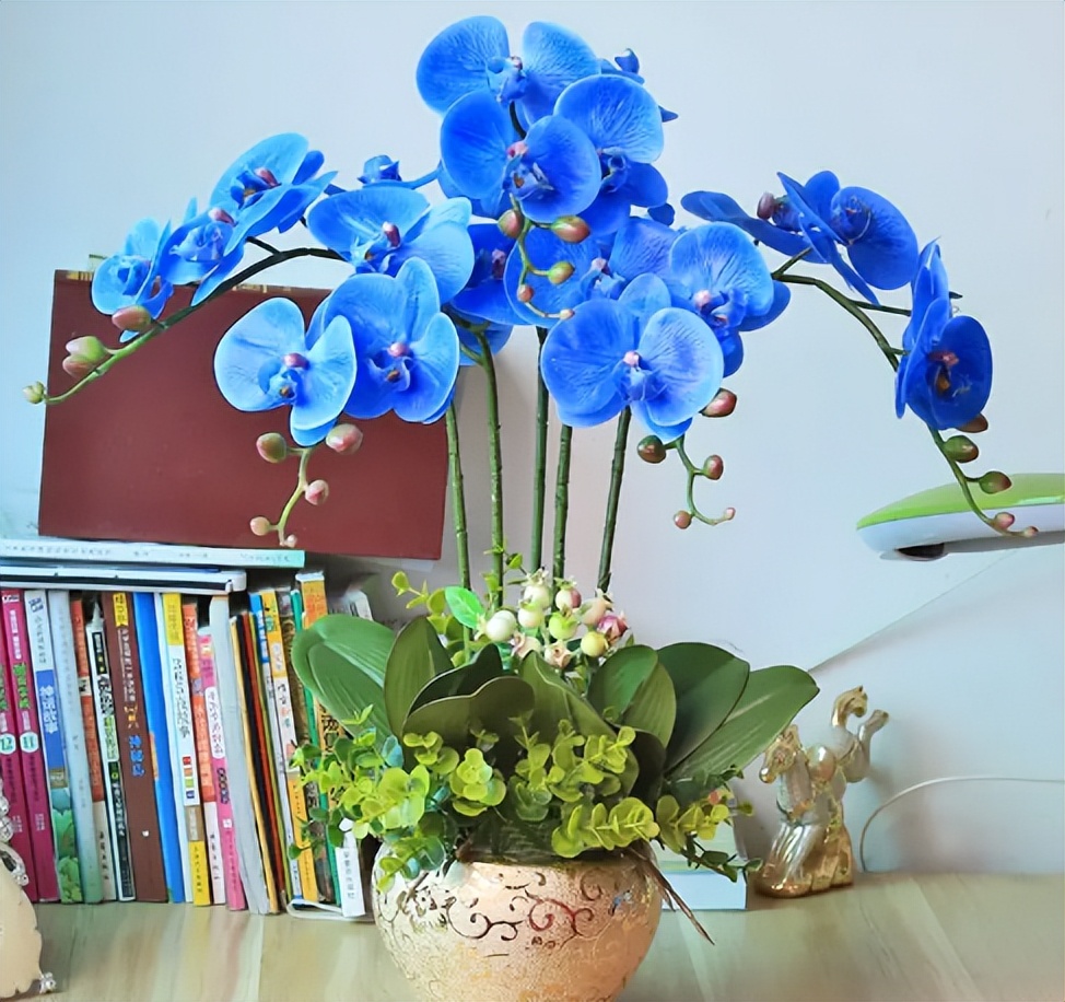 打假养花坑人小妙招,养花十大骗局揭秘