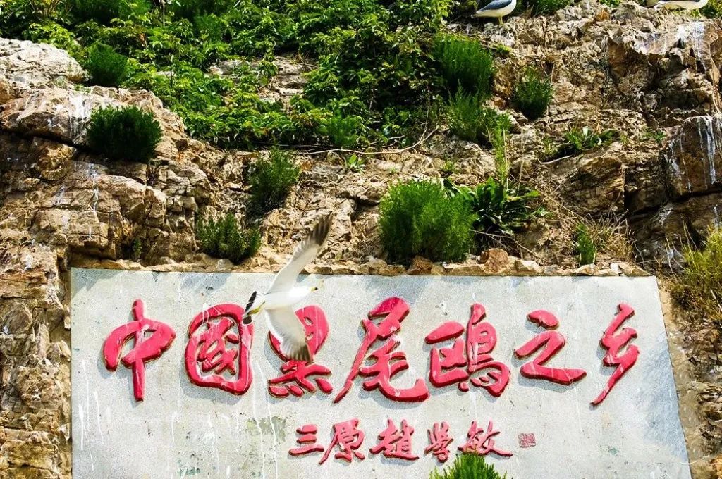 威海2天1夜攻略,威海2天一夜旅游攻略