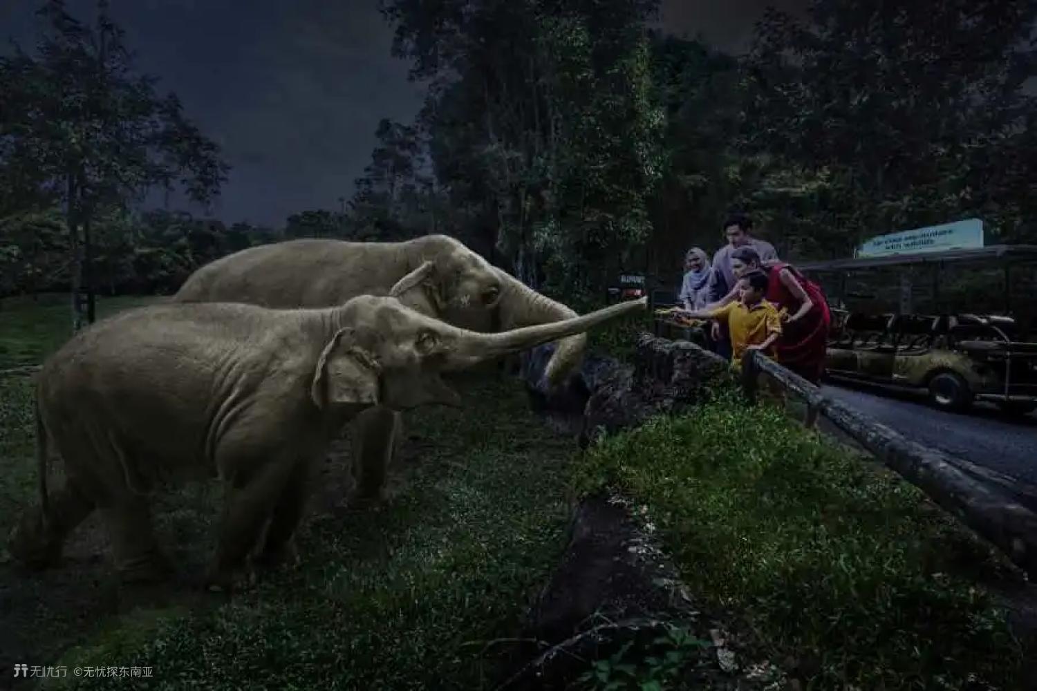 新加坡花园游玩攻略,新加坡自由行旅游指南