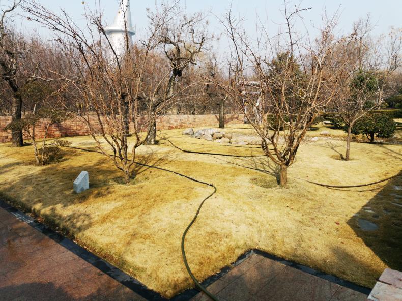 景观草坪如何搭配,庭院景观草坪种类