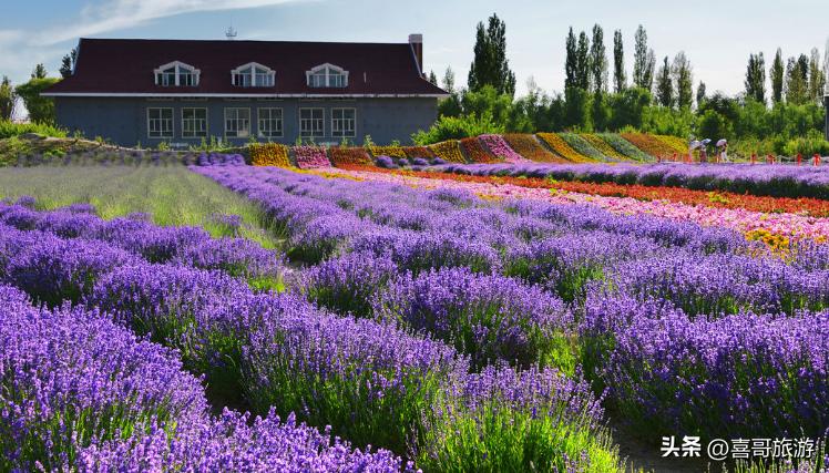 沈阳沈北周边一日游旅游景点推荐,沈阳沈北一日游适合自驾游的地方