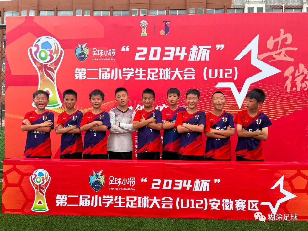 安徽省锦标赛合肥市,2022年安徽芜湖锦标赛