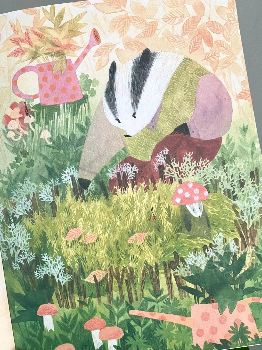 网红书推荐励志,网红推荐的书值得读吗