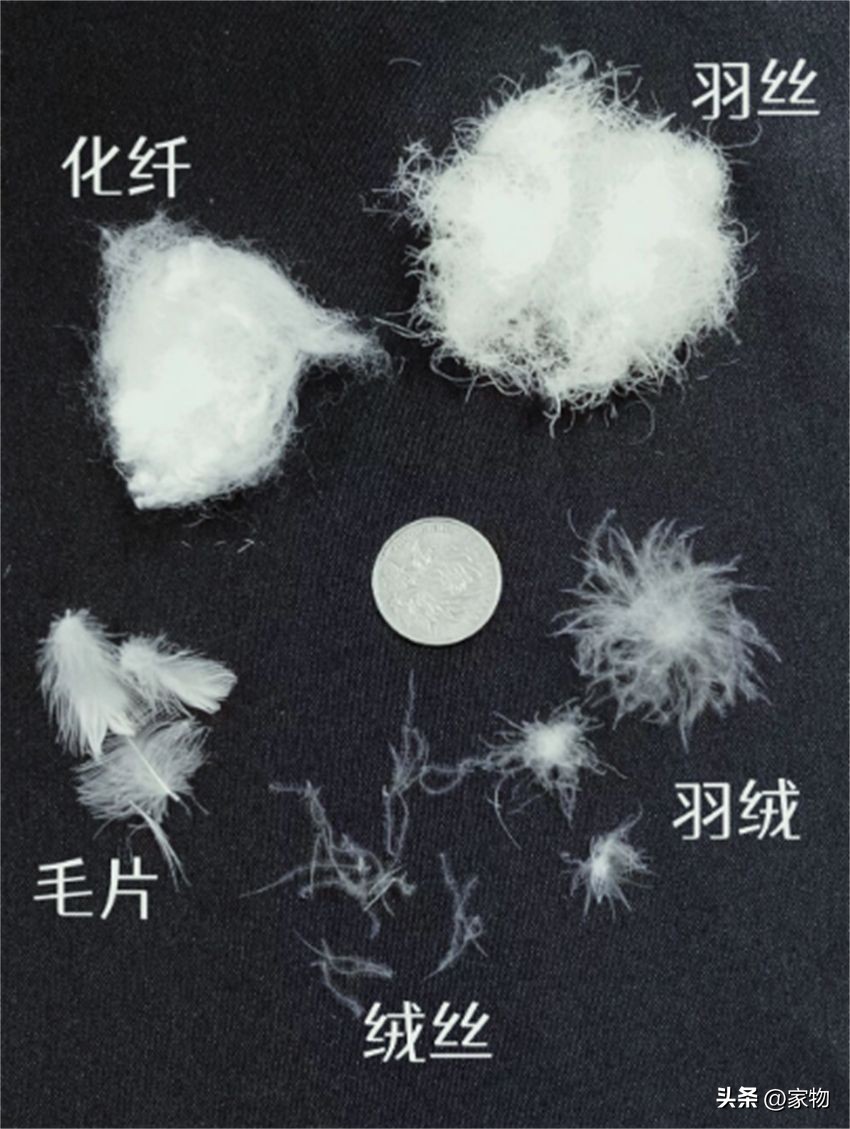 换了2次羽绒被，才搞懂几百和几千的差别在哪！全是大实话