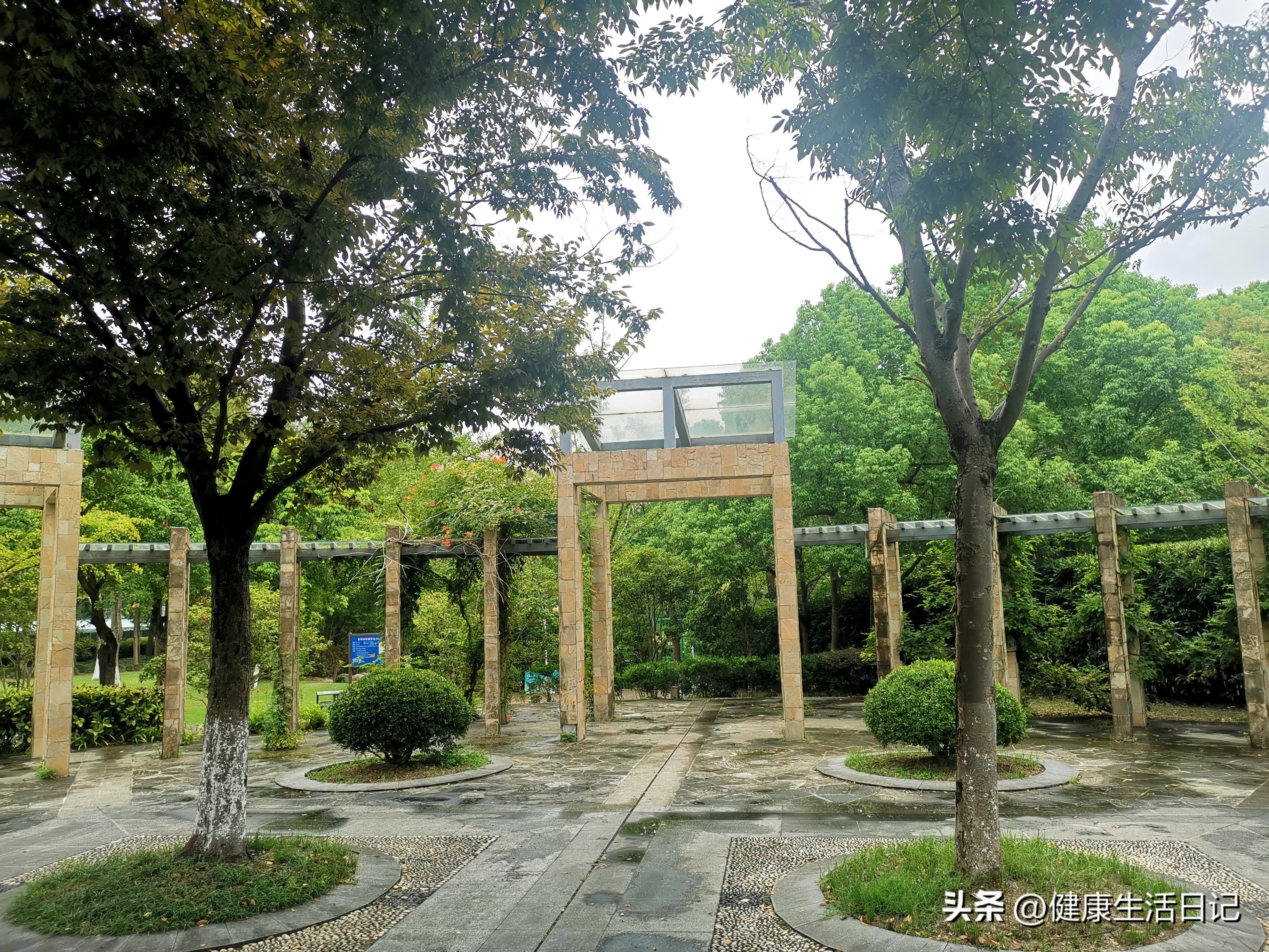 上海三林的公园,上海浦东三林公园在哪里