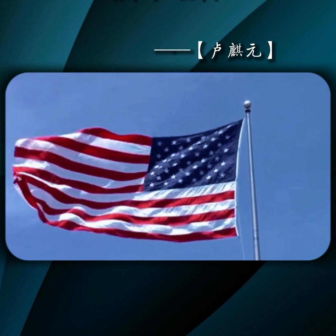 我们的经济不应该成为美元的背书工具#卢麒元