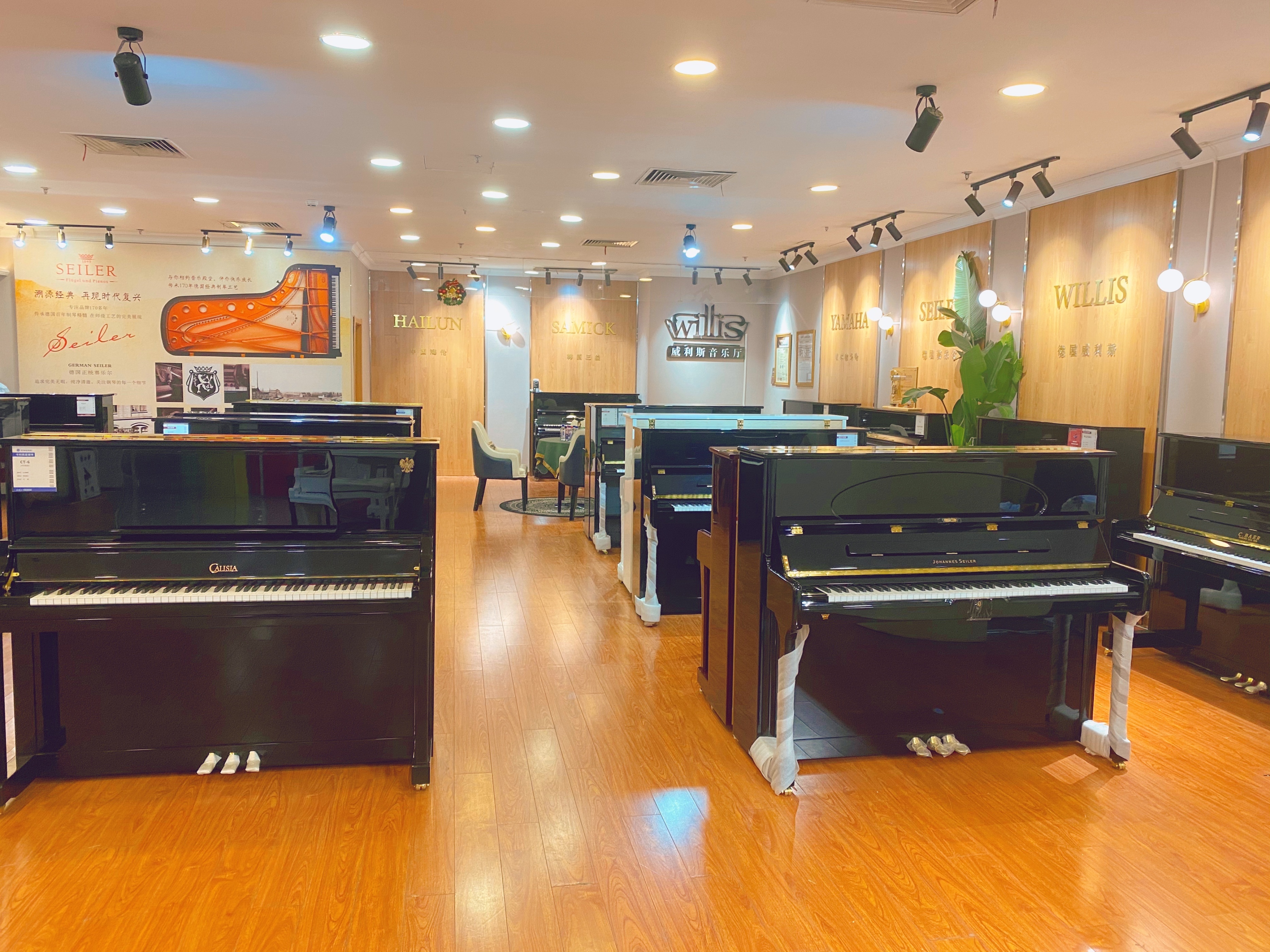 赛乐尔钢琴哪款最好,赛乐尔钢琴gs120价格