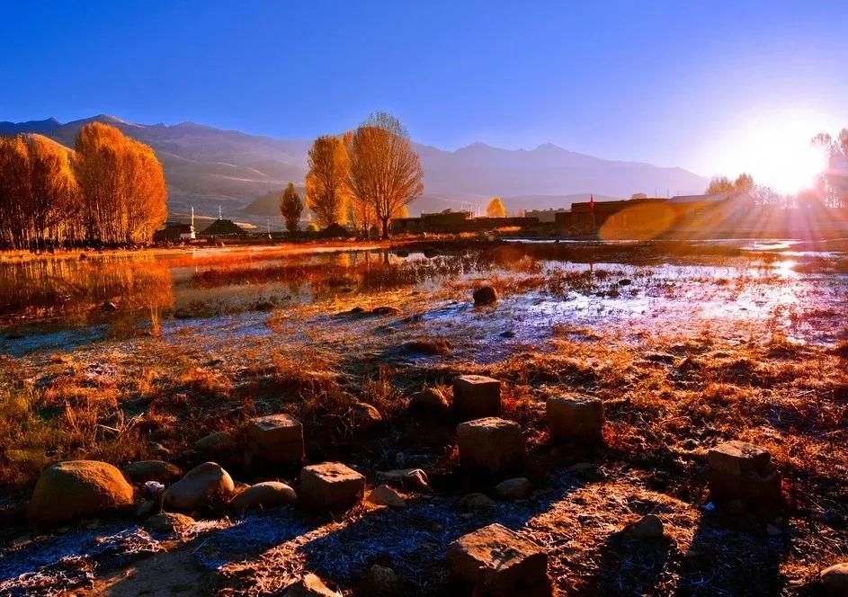 描写秋天的诗句大全100句,欣赏秋天的诗句大全