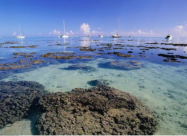 塔希提岛旅游费用,塔希提旅游真实感受