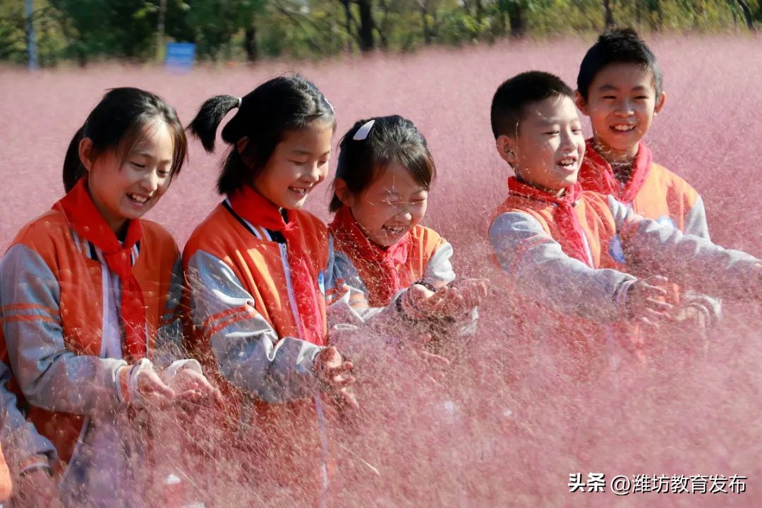 新闻周播报完整版,周播报抖音