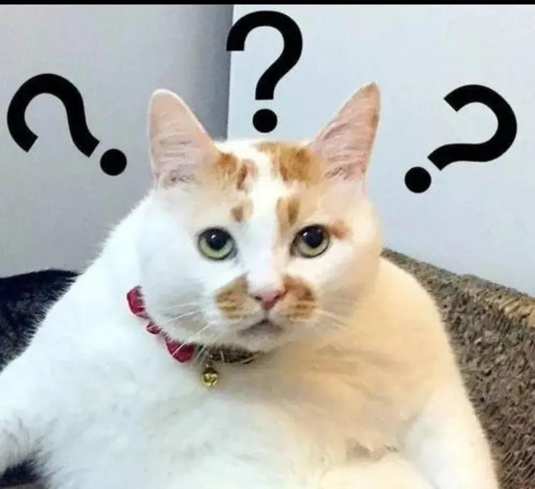 俄罗斯猫被制裁会涨价吗,俄罗斯猫被制裁图片