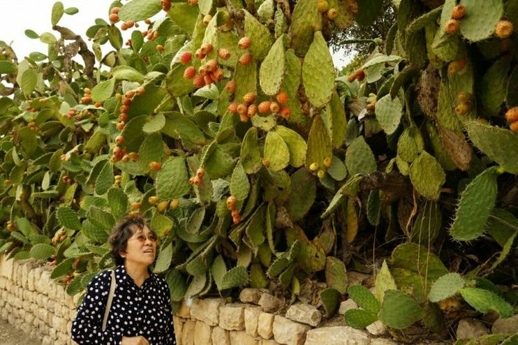 云中鹤空灵音乐,云中鹤钢琴曲