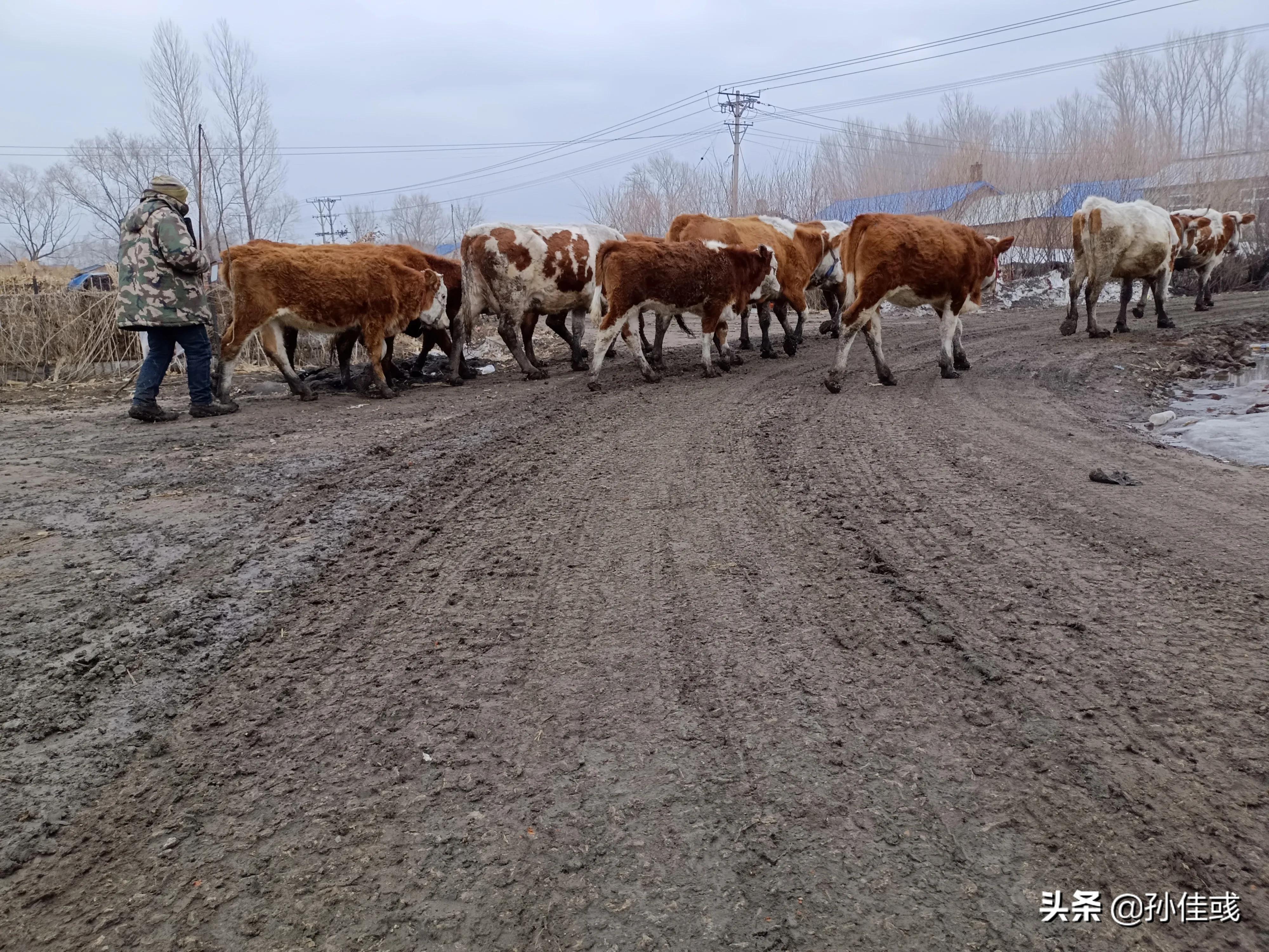 励志创业创作灵感,文学青年怎么创业