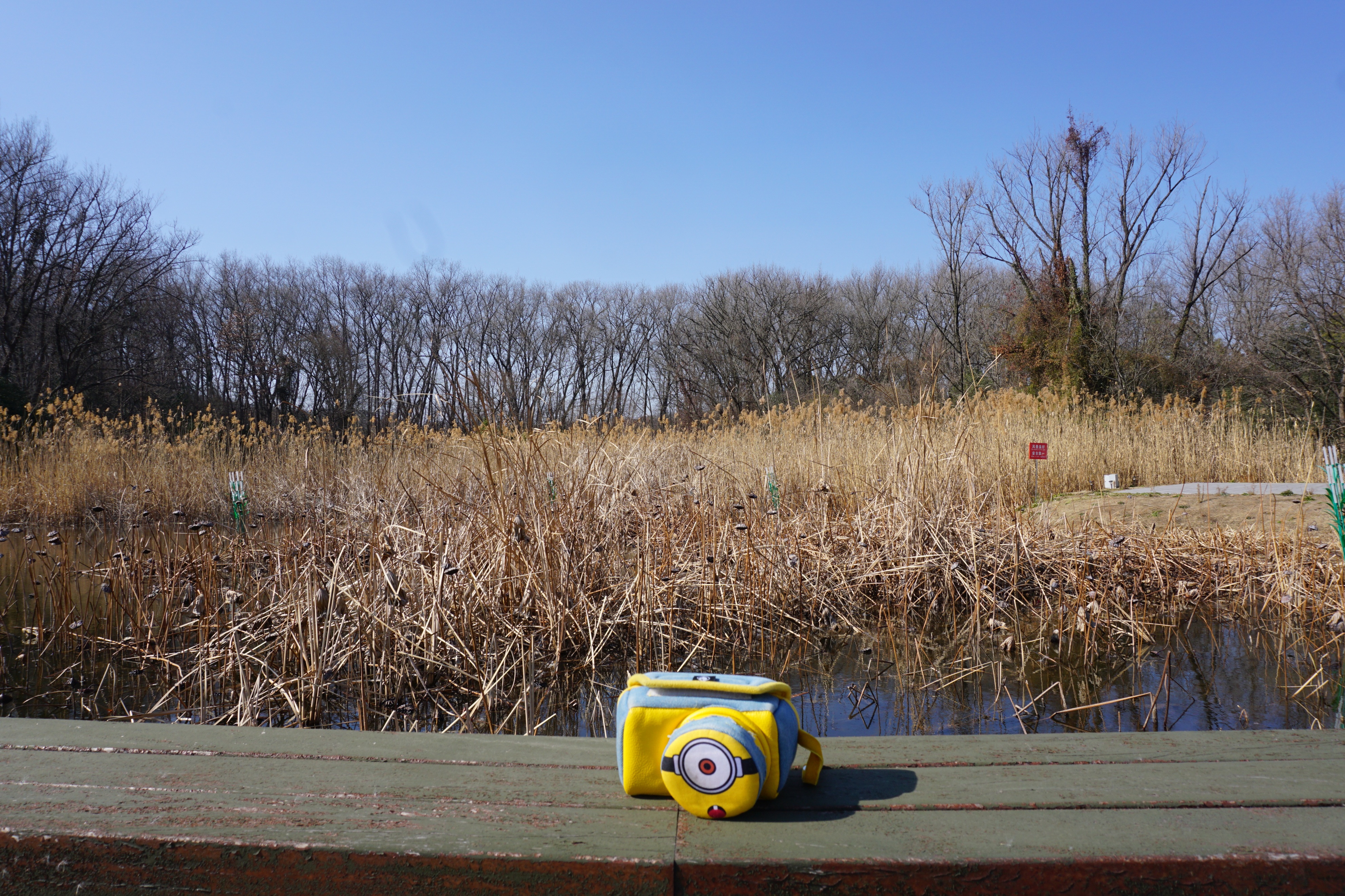 南京人看杭州,南京紫金山庄在哪里