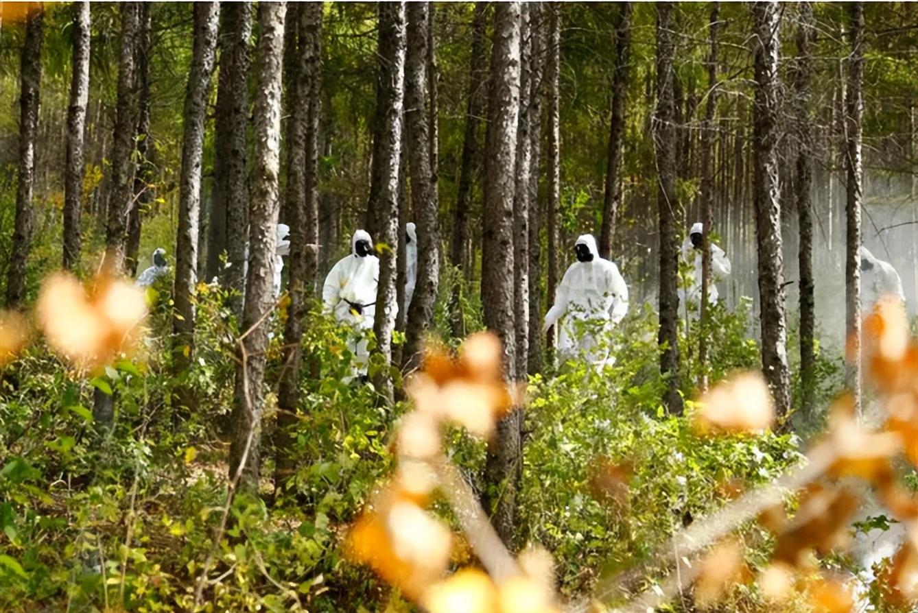 深入分析电影产业发展需求,国际形势对电影产业影响
