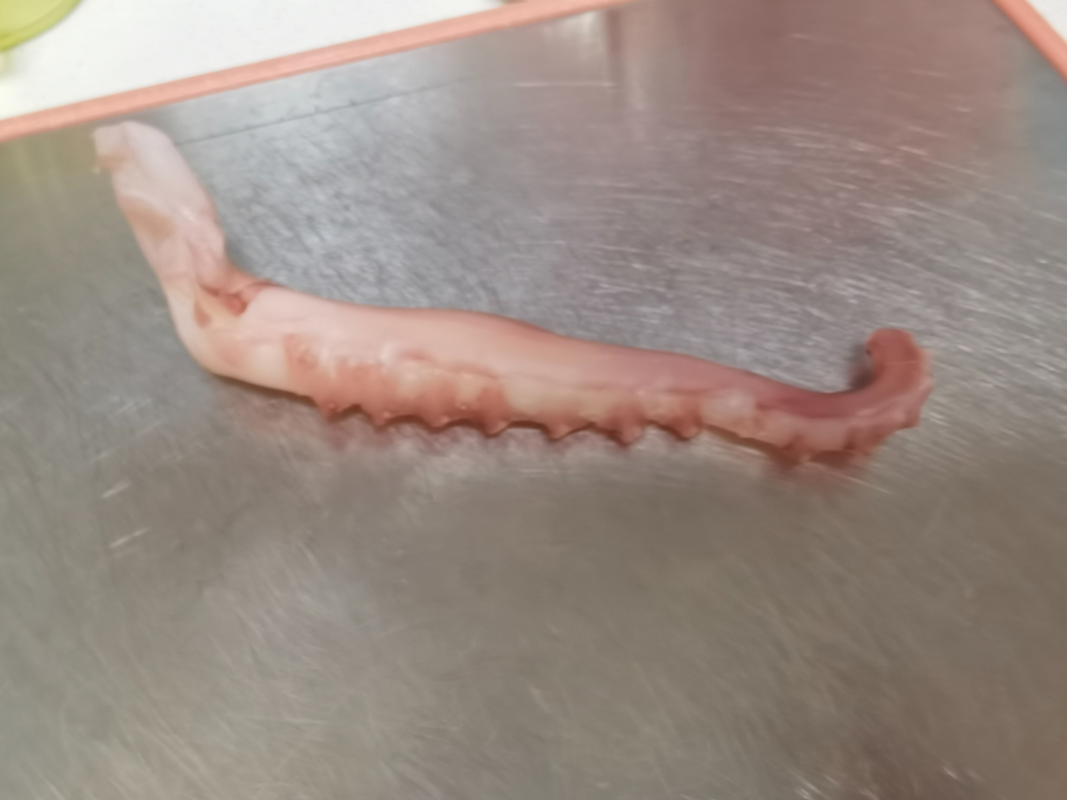 章鱼小丸子外面酥的秘密,章鱼小丸子你能吃几个