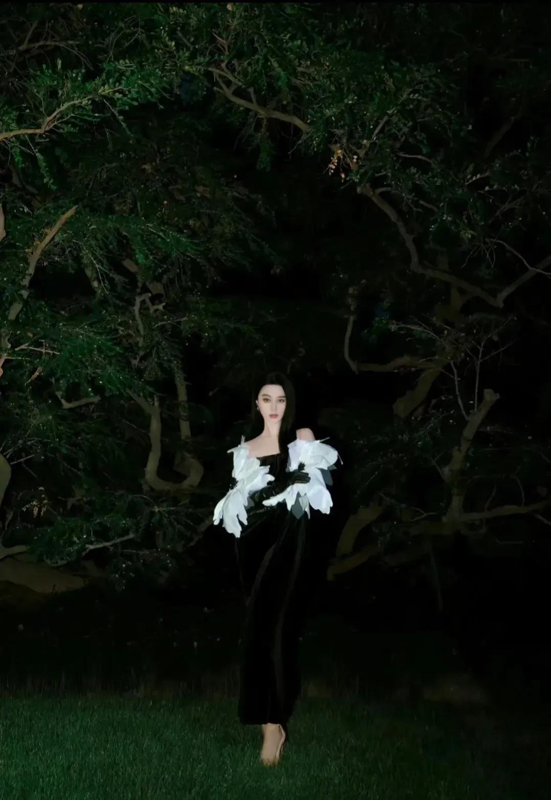 范爷戛纳红毯照,范爷戛纳穿龙袍