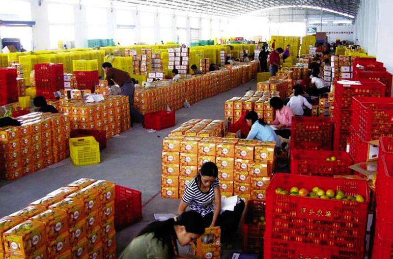 网购哪些东西不便宜,在网上网购应该注意哪些